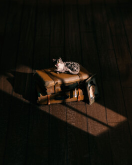 Sara-Christin Richter