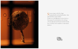 Sara-Christin Richter